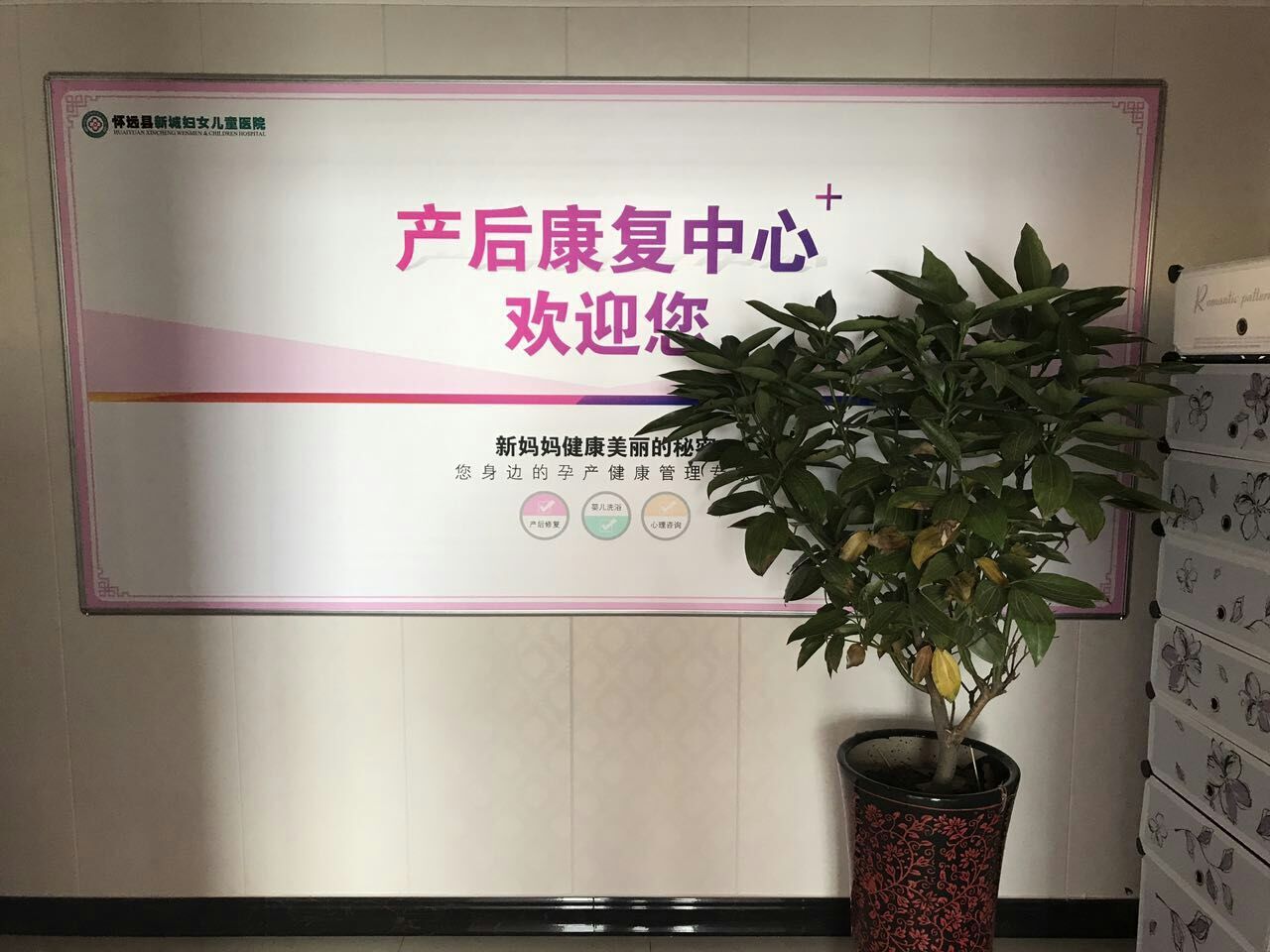 盆底功能康復